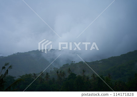 A tropical rainstorm in a rice field with cascading mountains and palm trees. 114171828