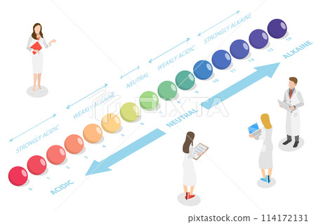 3D Isometric Flat  Conceptual Illustration of PH Scale, Acid-base Balance 114172131