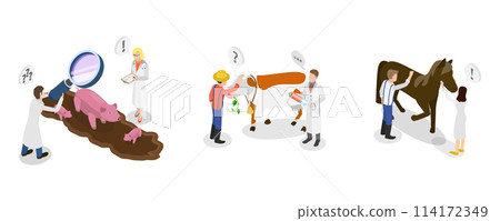 3D Isometric Flat  Conceptual Illustration of Farm Veterinary Doctor, Health Check 114172349