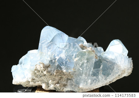 Celestine / Celestine Celestine / Celestine 114173583