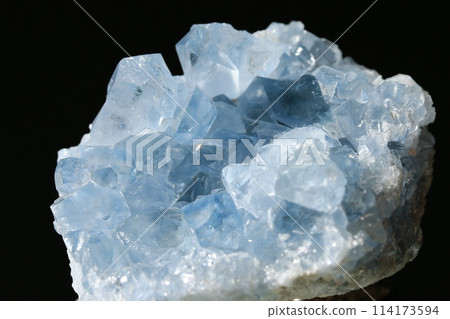 塞萊斯廷/塞萊斯廷 114173594