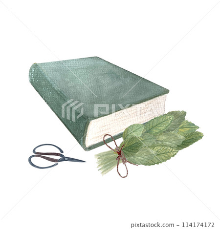 Bunch of lemon balm wild herb, tied with jute rope, scissors and a green book watercolor set isolated on white. High quality art for cards, oil infusions, herbal medicine recipes decor and stickers 114174172