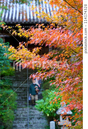 寬慈寺的御榮堂和紅葉(大阪府池田市) 寬慈寺的御榮堂和紅葉(大阪府池田市) 114174328
