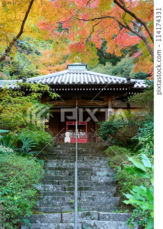 寬慈寺的御榮堂和紅葉(大阪府池田市) 寬慈寺的御榮堂和紅葉(大阪府池田市) 114174331