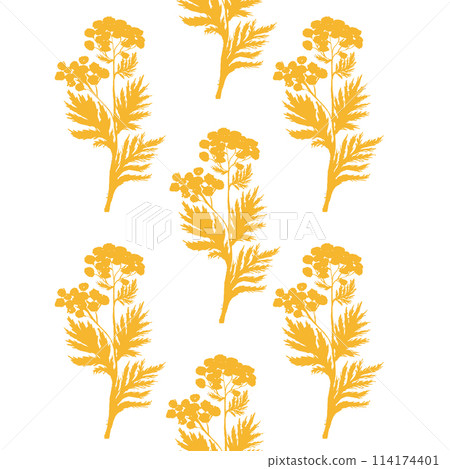 Blue tansy wild herb yellow monochromatic vertical seamless pattern isolated on white. Hand painted in watercolor. High quality art for cards, packages, wallpaper, wrapping paper, notebooks, eco 114174401