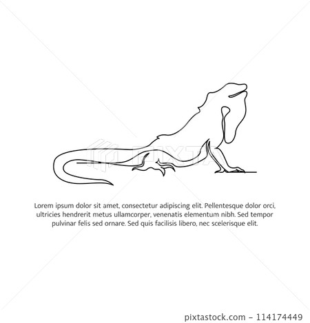 Iguana line design. Simple animal silhouette decorative elements drawn with one continuous line. Vector illustration of minimalist style on white background. Iguana line design. Simple animal silhouette decorative elements drawn with one continuous line. Vector illustration of minimalist style on white background. 114174449