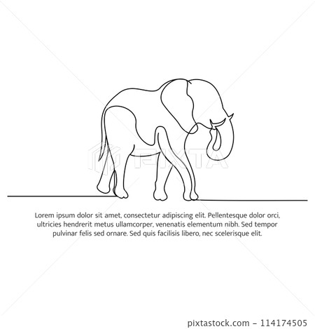 Elephant line design. Wildlife decorative elements drawn with one continuous line. Vector illustration of minimalist style on white background. 114174505