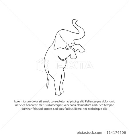Elephant line design. Wildlife decorative elements drawn with one continuous line. Vector illustration of minimalist style on white background. Elephant line design. Wildlife decorative elements drawn with one continuous line. Vector illustration of minimalist style on white background. 114174506