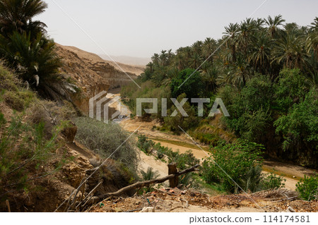 Picturesque view of Tamerza Oasis in Tunisia Picturesque view of Tamerza Oasis in Tunisia 114174581