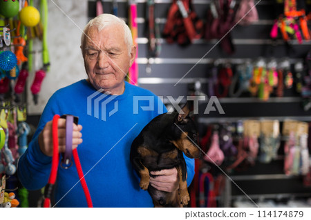 Elderly man choosing accessories for his dog in pet shop Elderly man choosing accessories for his dog in pet shop 114174879