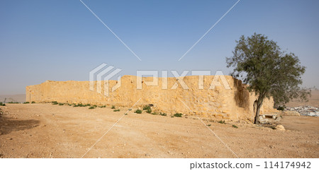Solitary tree by sunlit weathered earthen wall of Ksar Daghara 114174942