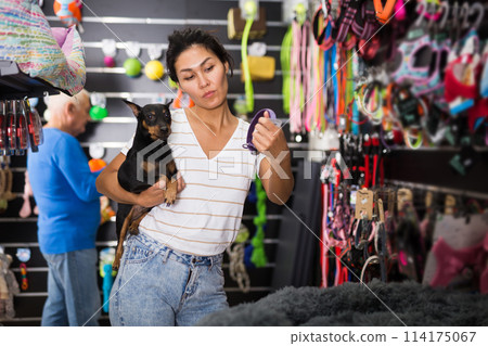 Oriental woman dog owner selecting leash and collar in pet shop Oriental woman dog owner selecting leash and collar in pet shop 114175067