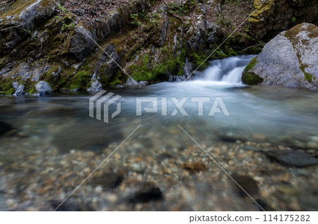 早春山間溪水在岩石間流淌 114175282