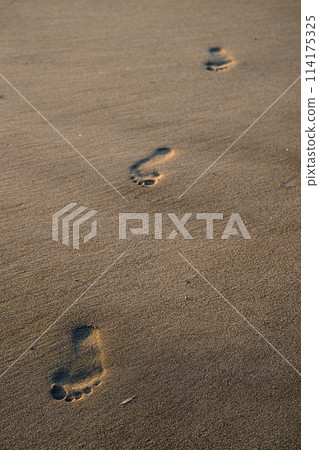 留在沙灘上的人們的足跡 114175325