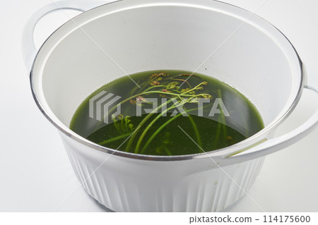 Wild vegetables: Removing the bitterness from bracken 114175600