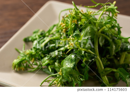 花炒西洋菜 花炒西洋菜 114175603