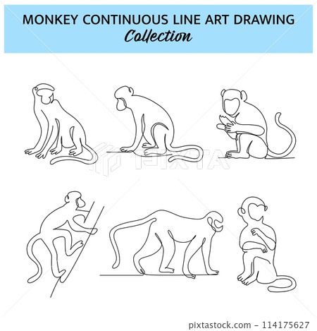 Set of monkey line design. Wildlife decorative elements drawn with one continuous line. Vector illustration of minimalist style on white background. 114175627