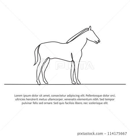 Horse line design. Simple animal silhouette decorative elements drawn with one continuous line. Vector illustration of minimalist style on white background. Horse line design. Simple animal silhouette decorative elements drawn with one continuous line. Vector illustration of minimalist style on white background. 114175667