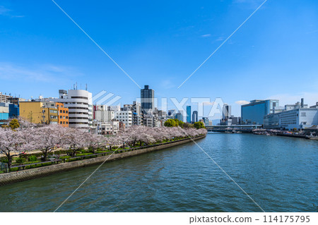 春天的大阪市大川 114175795