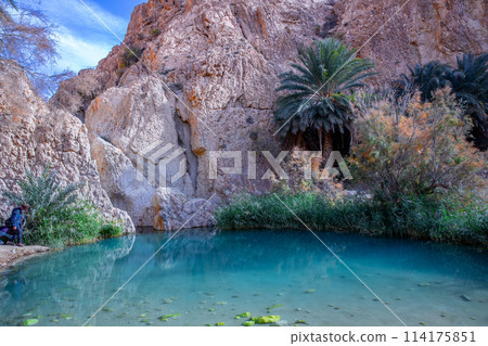 Shebika 114175851