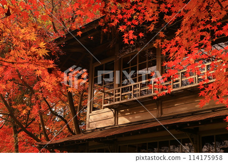 岩手縣秋葉風景 岩手縣秋葉風景 114175958