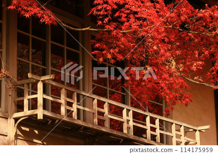 岩手縣秋葉風景 岩手縣秋葉風景 114175959