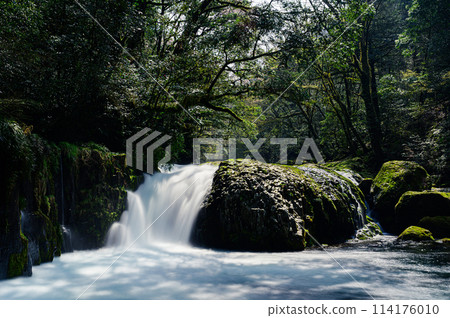 Waterfall of Kikuchi Valley dawn Waterfall of Kikuchi Valley dawn 114176010