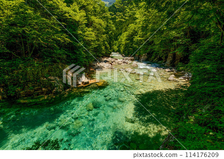 清新的綠意和清澈的翠綠 114176209