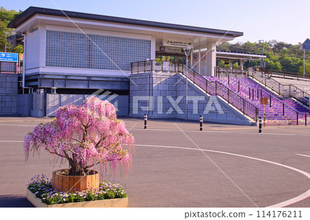 足利市兩毛線 JR足利花卉公園站 114176211
