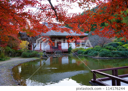Banji Pond and the main hall of Kyuanji Temple through the autumn leaves (Ikeda City, Osaka Prefecture) Banji Pond and the main hall of Kyuanji Temple through the autumn leaves (Ikeda City, Osaka Prefecture) 114176244