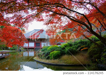 Banji Pond and the main hall of Kyuanji Temple through the autumn leaves (Ikeda City, Osaka Prefecture) Banji Pond and the main hall of Kyuanji Temple through the autumn leaves (Ikeda City, Osaka Prefecture) 114176245