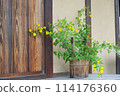 Flowers on the veranda 114176360