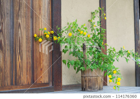 Flowers on the veranda Flowers on the veranda 114176360