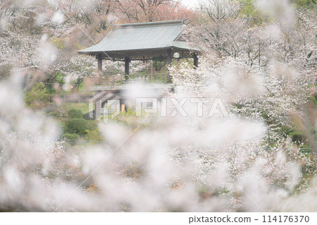 觀月樓展望台菊池公園 觀月樓展望台菊池公園 114176370