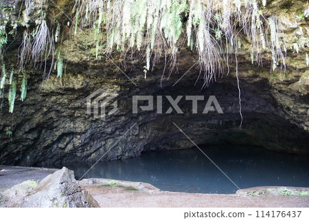 大溪地島Teanathea 洞穴 114176437