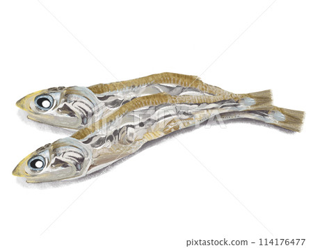 Boiling water Boiling water 114176477