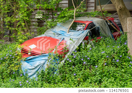廢棄多年的紅色汽車被植被覆蓋 | 廢棄車輛的圖片 114176501