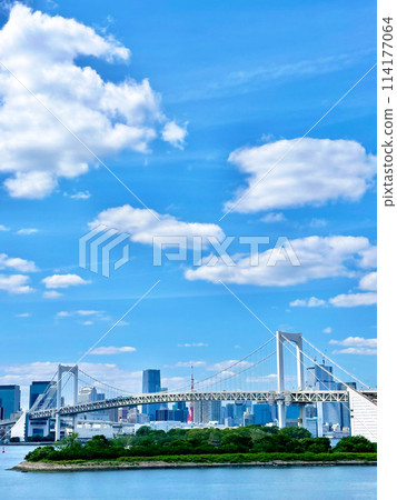 Tokyo Bay, Rainbow Bridge and Tokyo Tower on a clear day Tokyo Bay, Rainbow Bridge and Tokyo Tower on a clear day 114177064