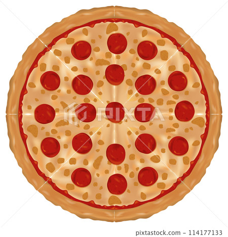 Delicious Pepperoni Pizza Vector Illustration 114177133