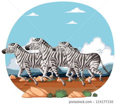 Zebras Running in a Scenic Landscape Zebras Running in a Scenic Landscape 114177150