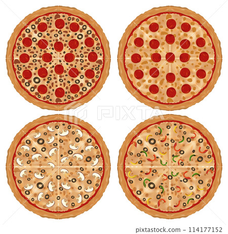 Variety of Tasty Pizzas Vector Illustration 114177152
