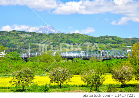 Obuse Bridge / View of the Chikuma River area from upstream towards Mt. Myoko (Obuse Town, Nagano Prefecture) [May 2024] 114177225