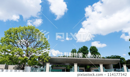 上野動物園入口，晴朗的春天天空，黃金周，東京台東區上野公園 114177342