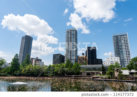 上野動物園，從不忍池仰望高樓公寓，晴朗的春天天氣，黃金周，東京台東區上野公園 114177372