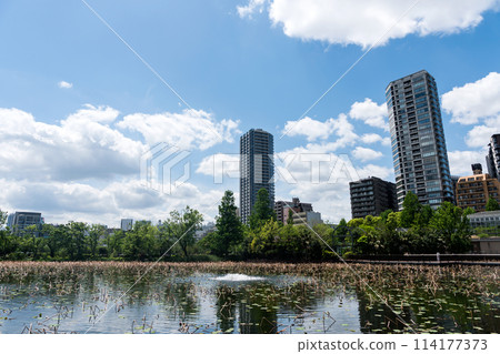 上野動物園、不忍池和高樓公寓景觀、晴朗的春天天氣、黃金週、東京台東區上野公園 114177373