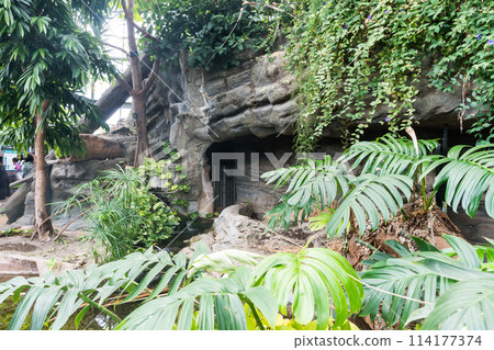 上野動物園 兩棲爬蟲類 清春黃金週 東京都台東區上野公園 114177374