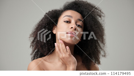 Beauty and healthcare concept - beautiful African American woman with curly afro hairstyle and clean, healthy skin touches her cheek and face with her hand, posing and looking at the camera 114179495