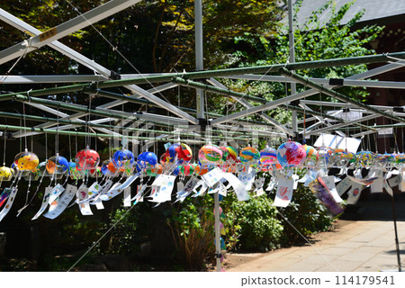 Taiho Hachiman Shrine 2023-8-6 #28 114179541