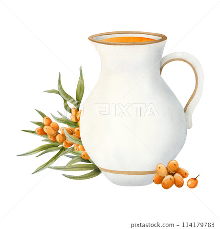 Fresh sea buckthorn juice in white jug with twig of orange Hippophae berries watercolor illustration isolated on white. Hand drawn healthy drink in ceramic pitcher for rustic vegan and diet beverages Fresh sea buckthorn juice in white jug with twig of orange Hippophae berries watercolor illustration isolated on white. Hand drawn healthy drink in ceramic pitcher for rustic vegan and diet beverages 114179783