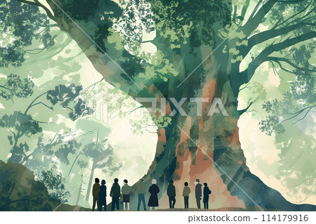 屋久島繩文杉-1 屋久島繩文杉-1 114179916